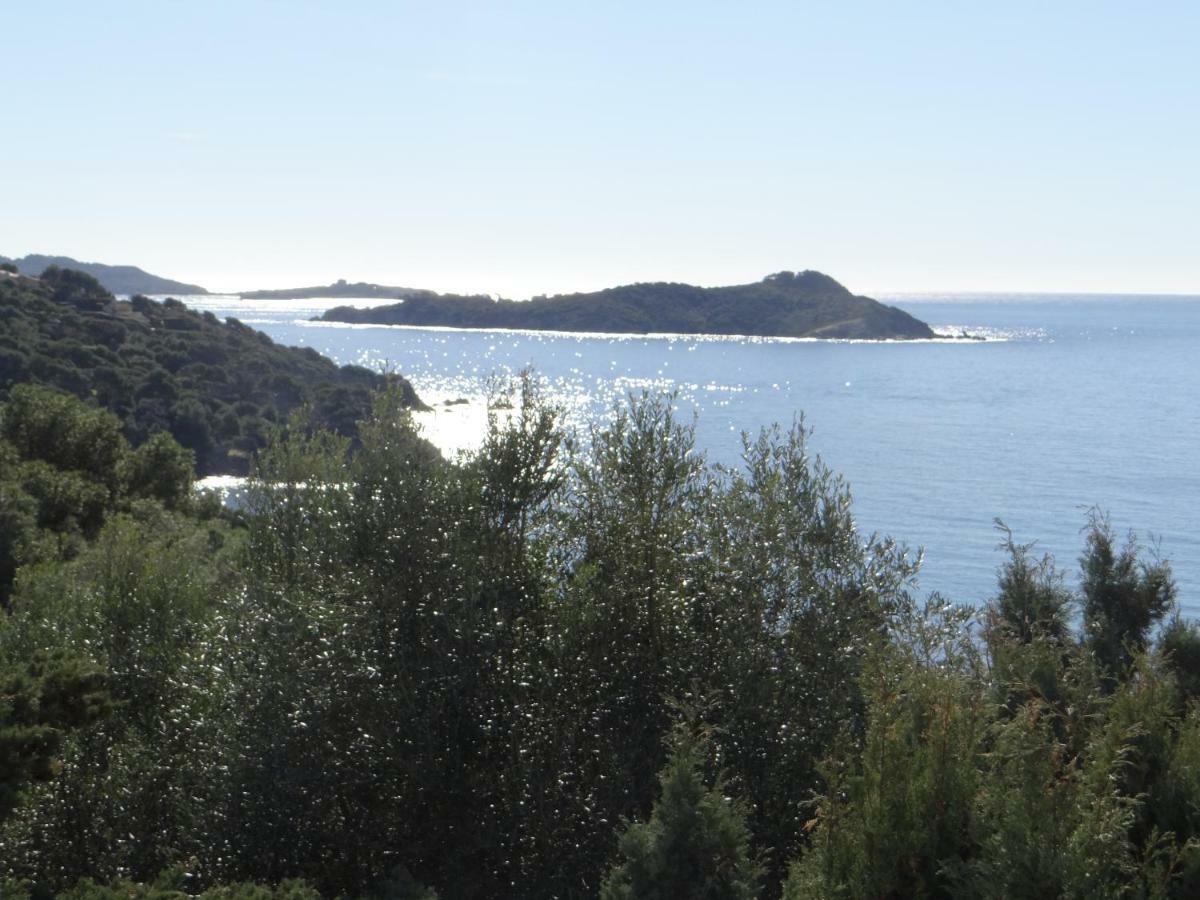 Appartement T2 50M² Vue Mer Presqu'Il De Giens. Rc Hyeres Exterior photo